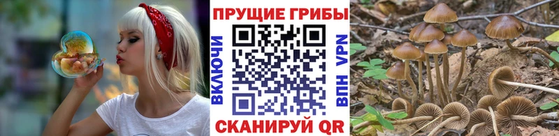 Галлюциногенные грибы GOLDEN TEACHER  Купить где  Истра 